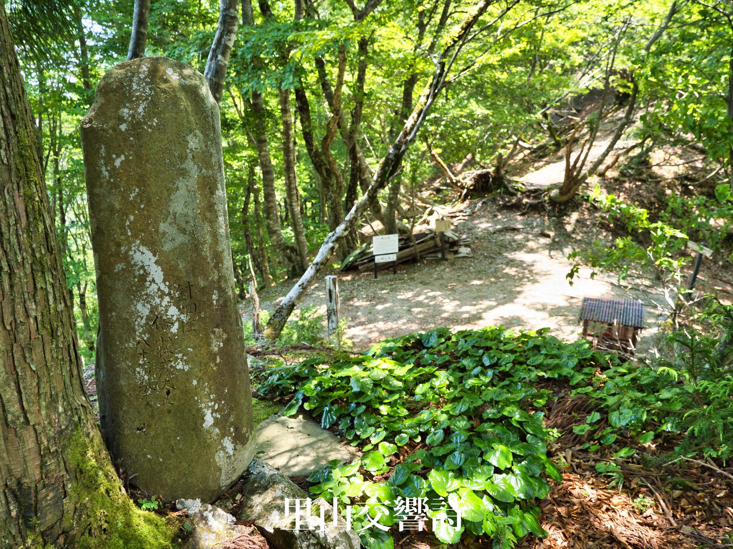 根来坂峠の鞍部