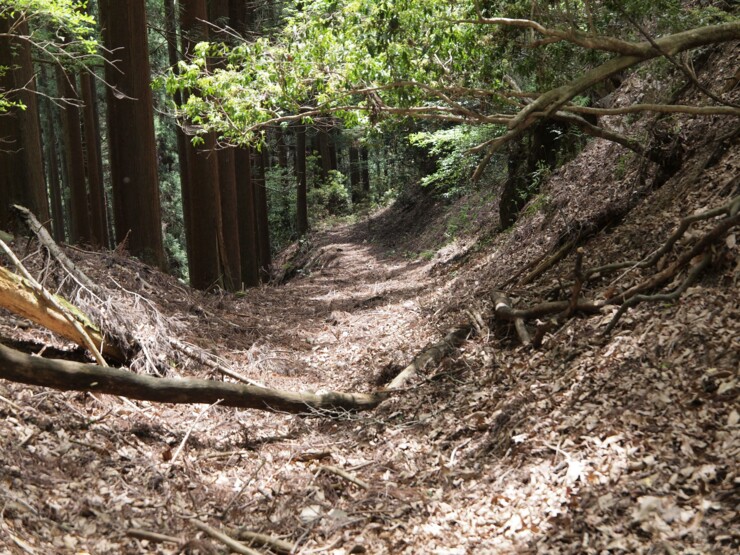 峠から日吉側に下る道