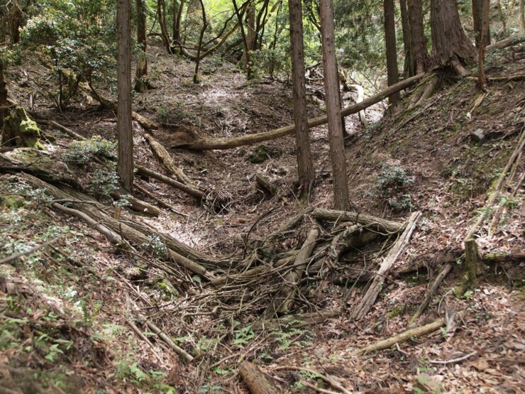 美山側の旧道