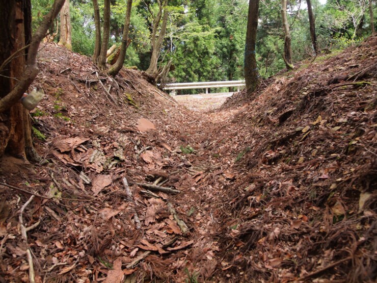 尼公坂の峠鞍部（西から東を見る）