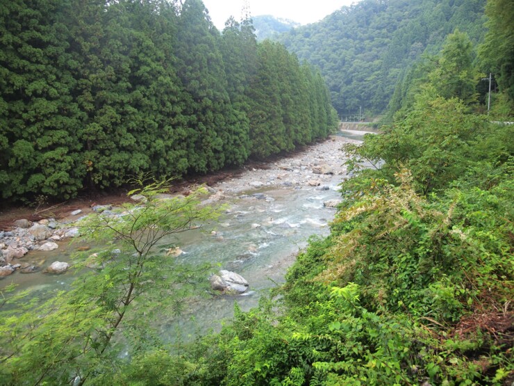 取りつき地点から見る由良川